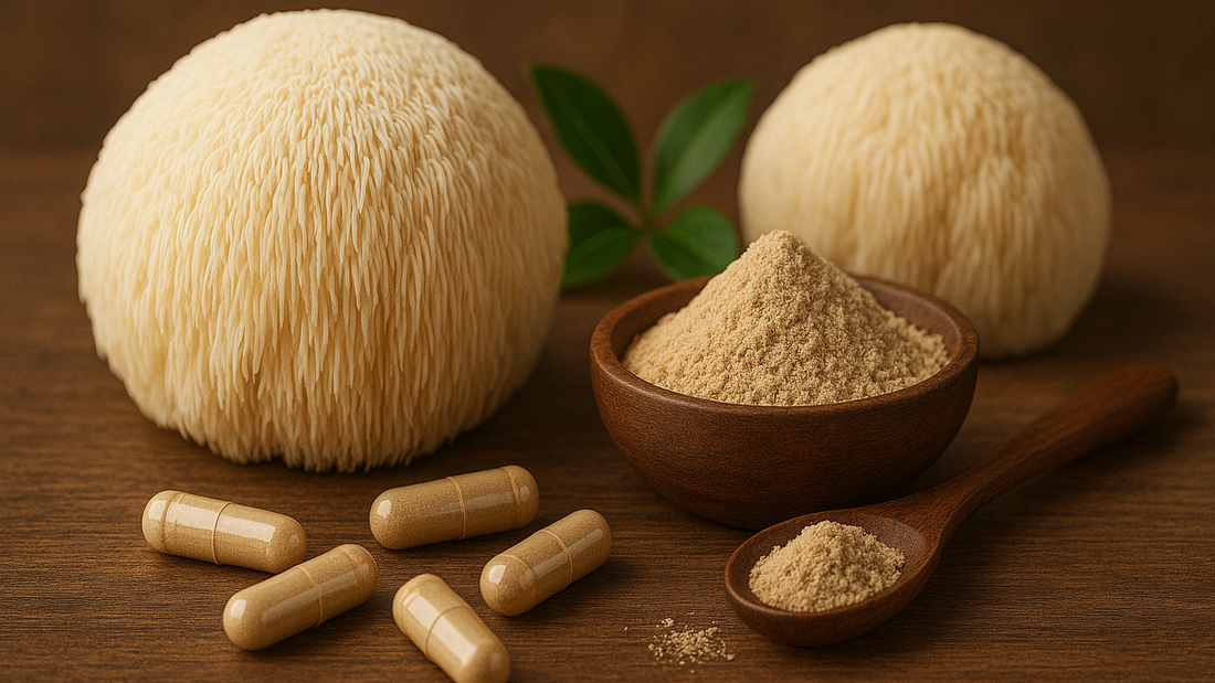 Lion’s Mane Mushroom for Focus and Memory: Dosage, Benefits & Side Effects