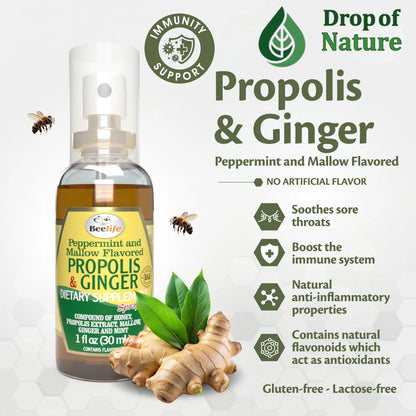 Bottle of propolis and ginger dietary supplement with text about its benefits on a light gray background.
