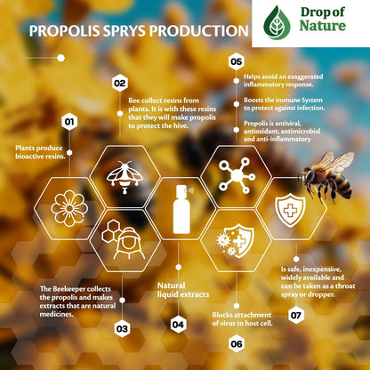 Infographic on propolis sprys production with Dropof Nature branding.