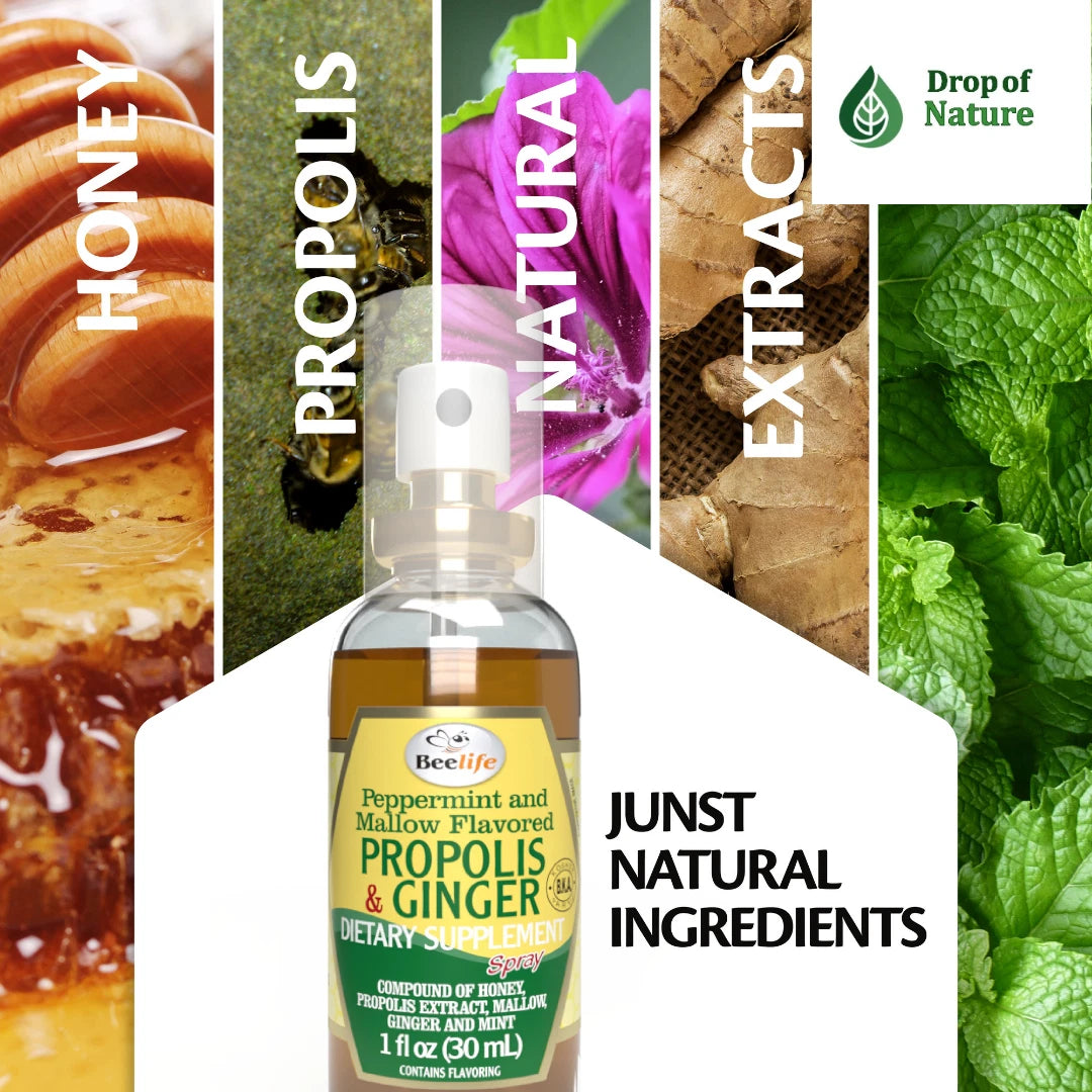 Bottle of Propolis and Ginger dietary supplement with natural ingredients images on a white background