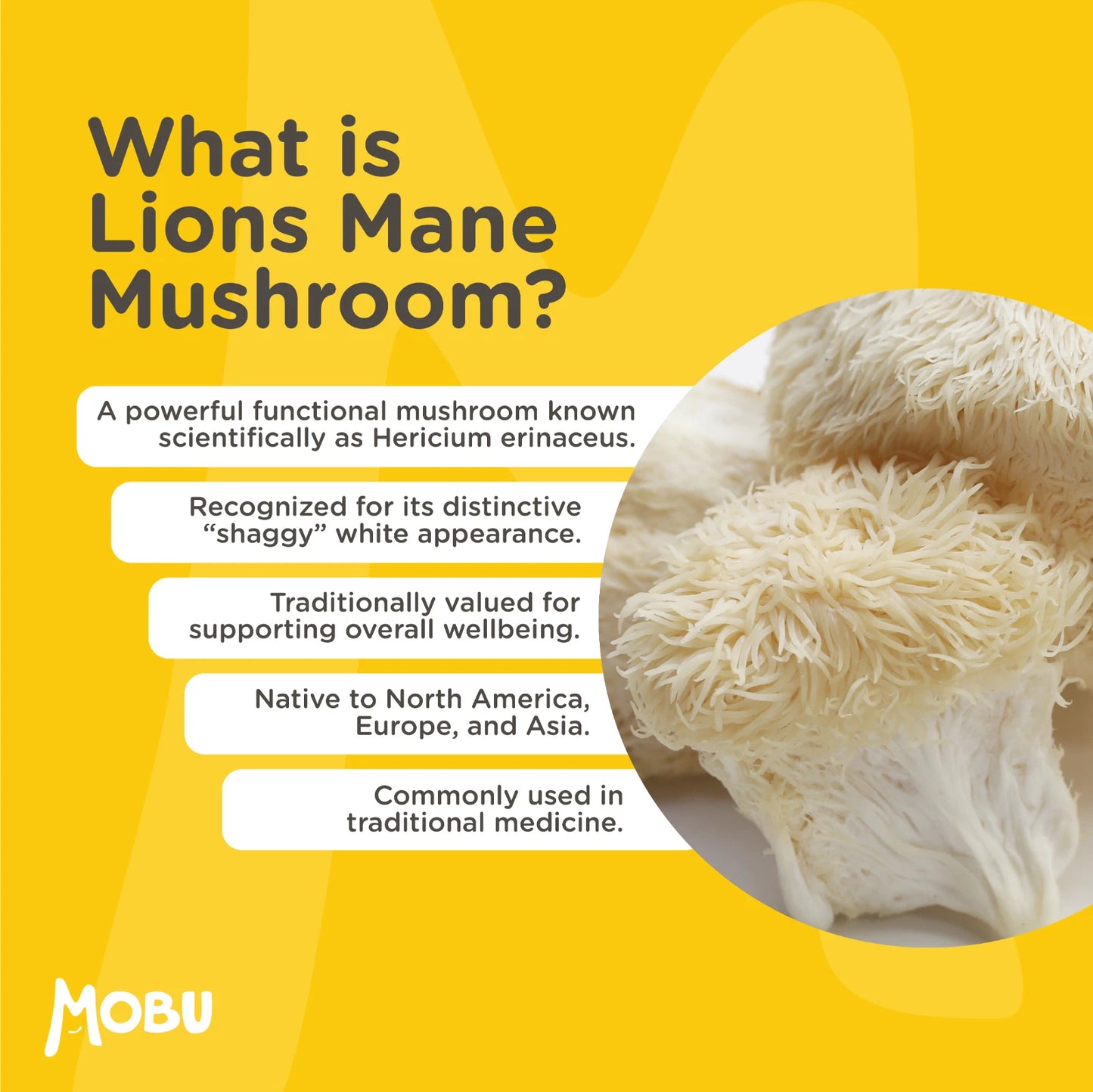 Lions Mane mushroom with text on a yellow background, featuring the MOBU brand.