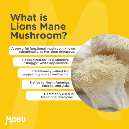 Lions Mane mushroom with text on a yellow background, featuring the MOBU brand.