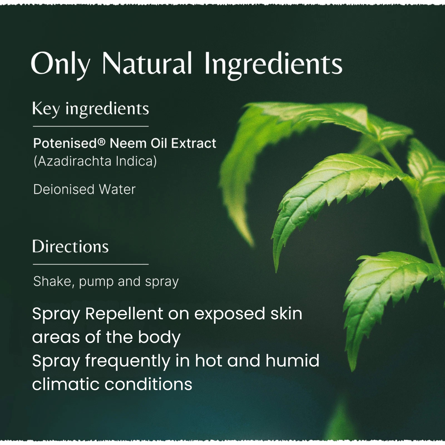 Product label with natural ingredients and usage instructions on a dark background with green leaves.