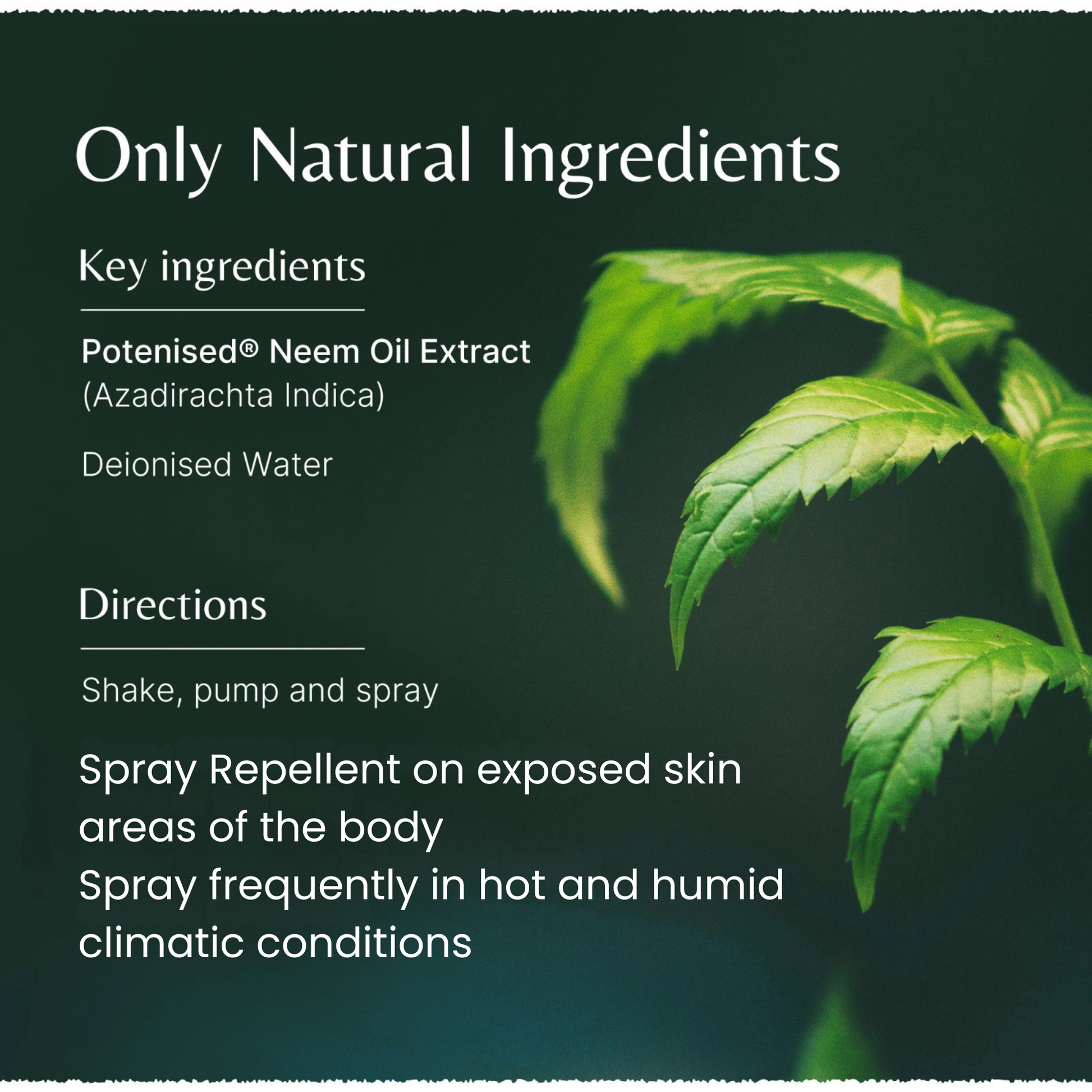 Product label with natural ingredients and usage instructions on a dark background with green leaves.
