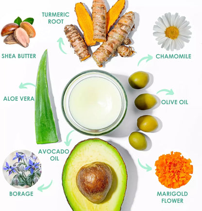 Collection of natural ingredients including aloe vera, turmeric root, olive oil, and avocado on a white background.