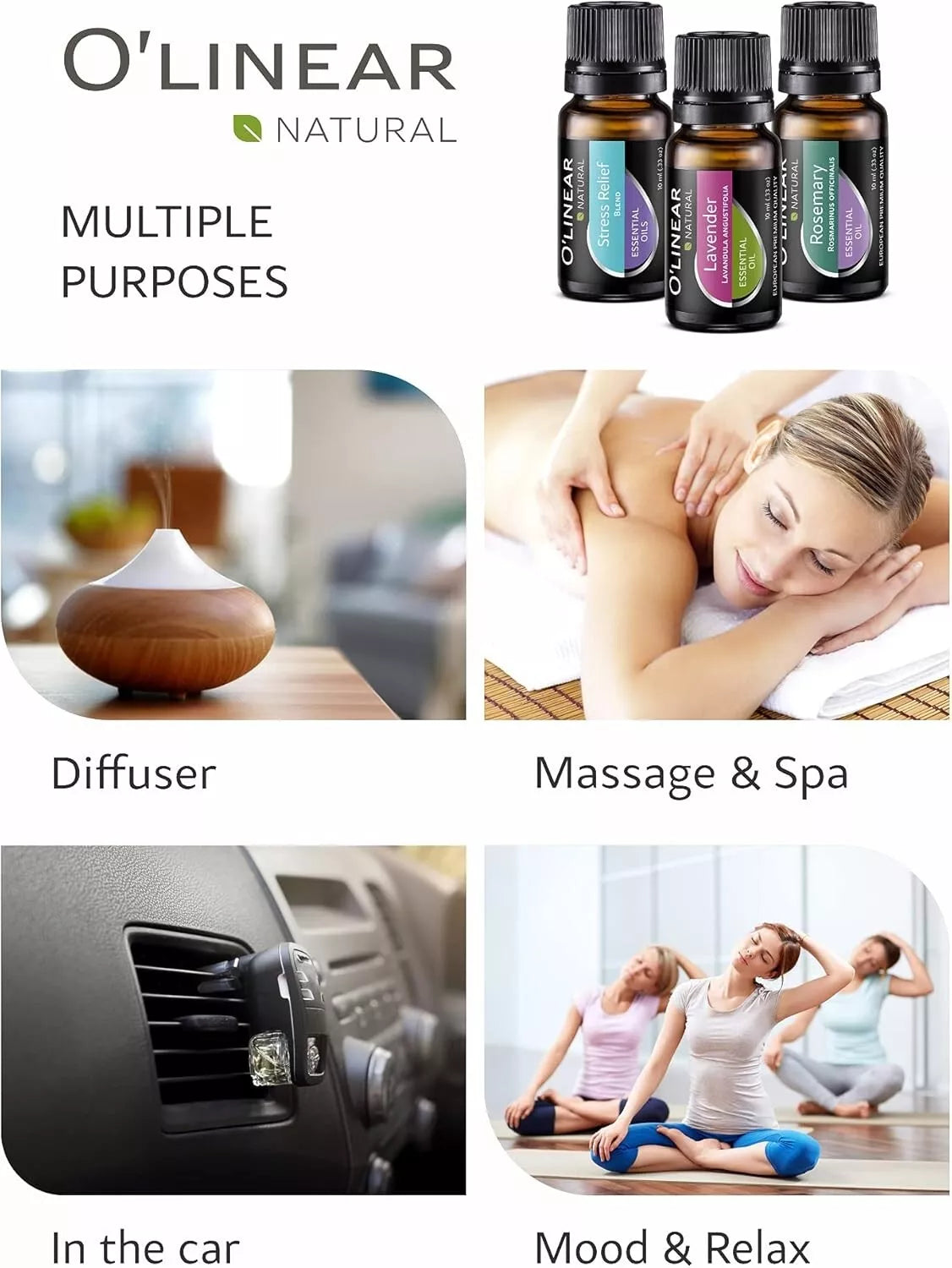 Top 12 Essential Oils & Blends Set – 12 x 10ml