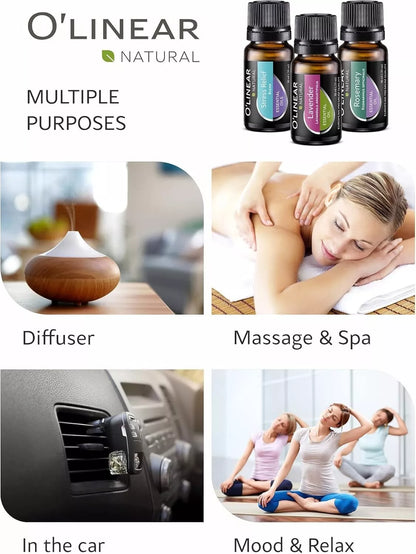 Top 12 Essential Oils & Blends Set – 12 x 10ml