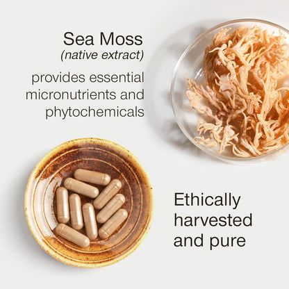Irish Sea Moss Capsules 2000mg | High Strength | 30 Vegan Capsules | Made in UK
