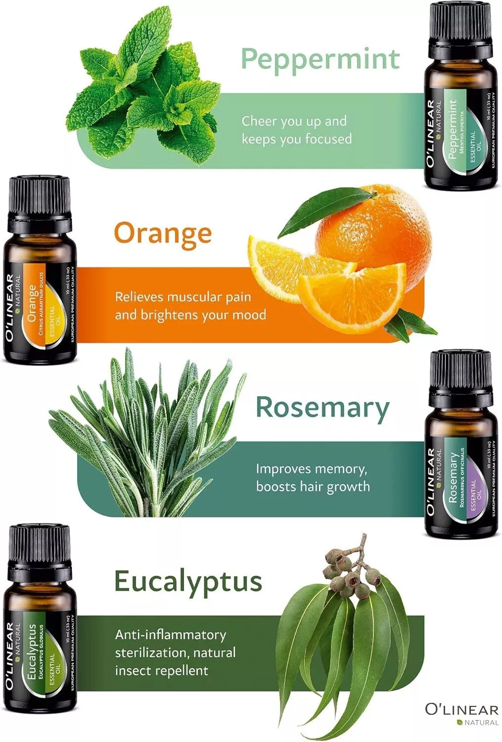 Top 12 Essential Oils & Blends Set – 12 x 10ml