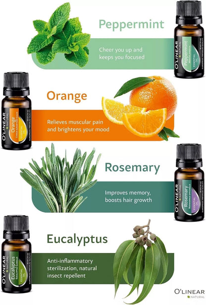 Top 12 Essential Oils & Blends Set – 12 x 10ml