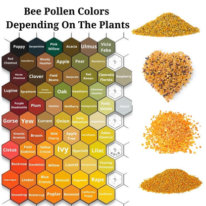 Pure Bee Pollen | 700g | 100% Natural